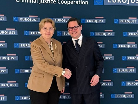 IMG 20251205 WA0002 C